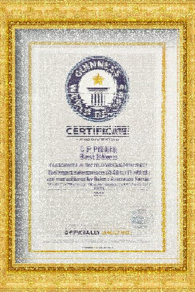 WhatsApp Image 2024-11-28 at 7.10.26 PM